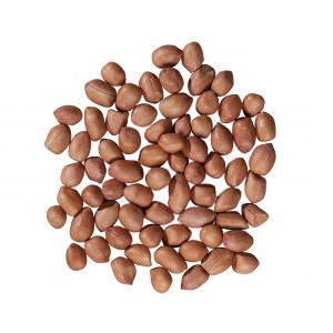 peanut kernel round shape