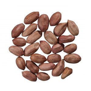 peanut kernels large type