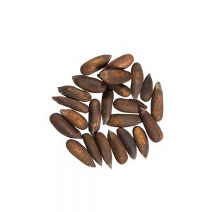 pine nuts in shell -pakistan